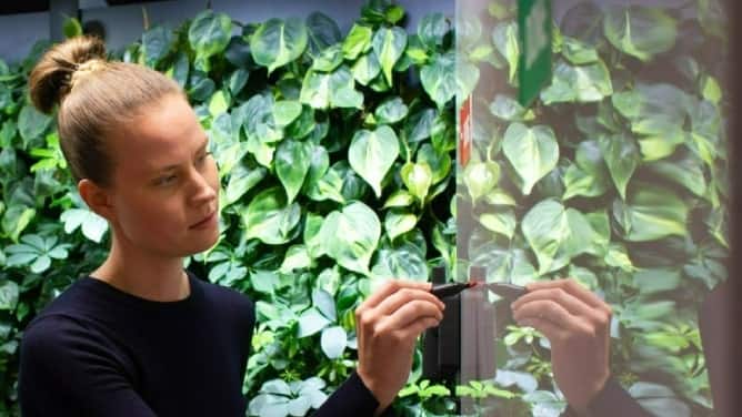 img_Etti-Seppa_668x376