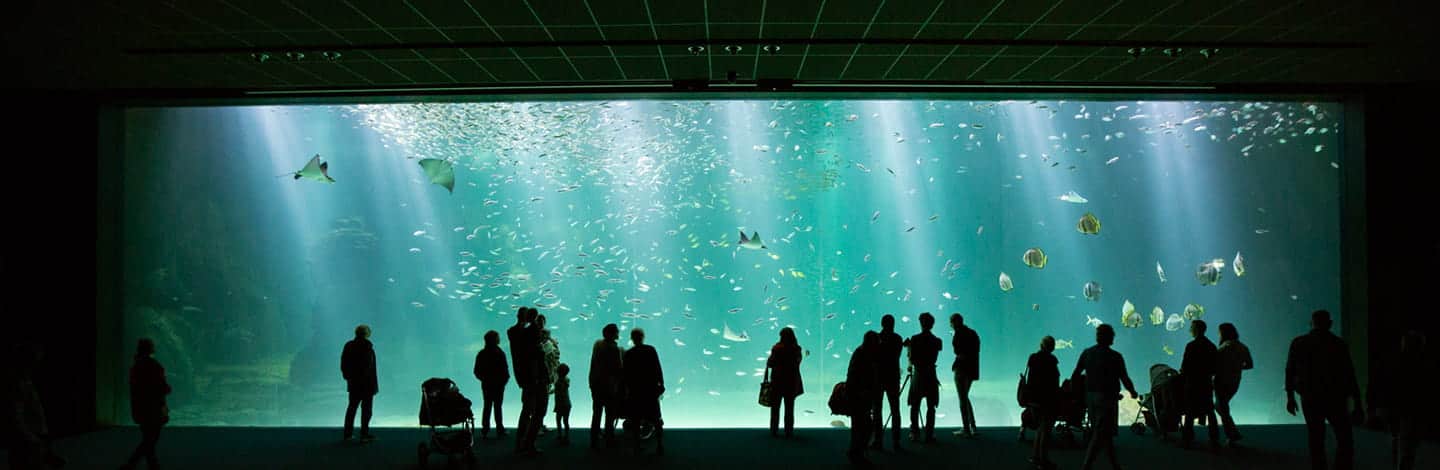 img_KONE-Nausicaa-Facts-01-hero-B