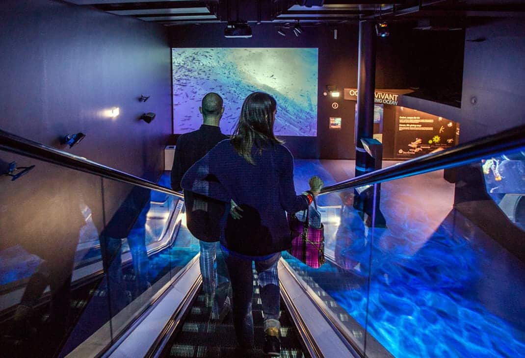 img_KONE-Nausicaa-Facts-03-carousel-3