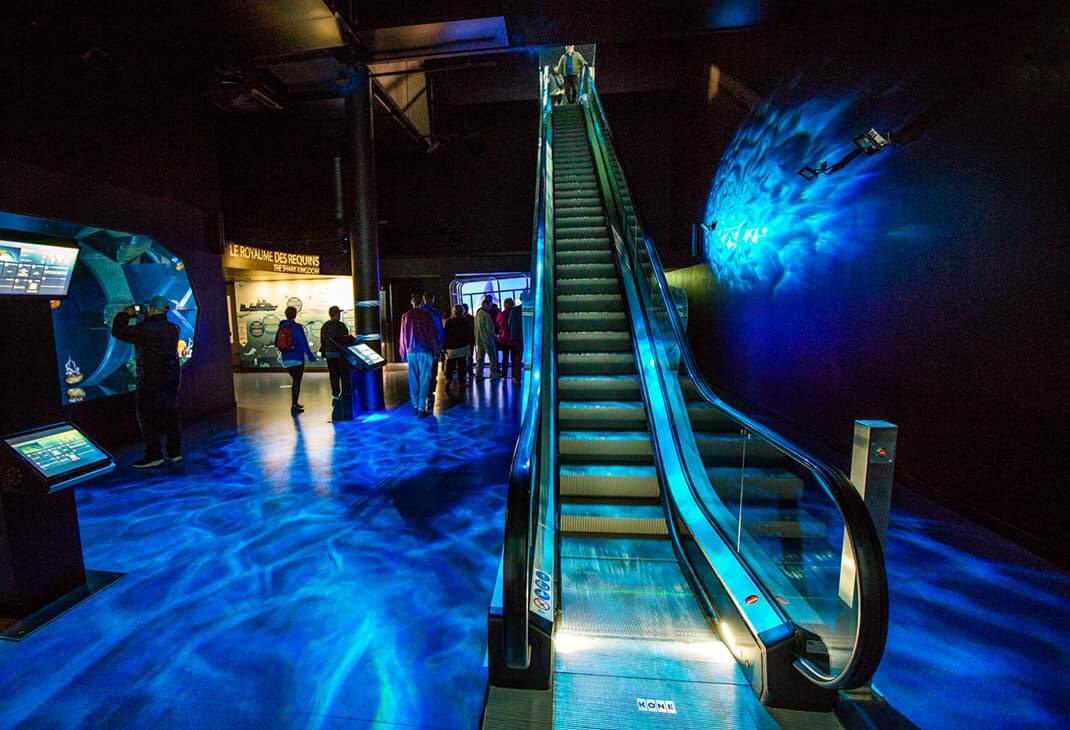 img_KONE-Nausicaa-Facts-03-carousel-4